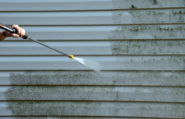 Best Residential Pressure Washing Services  in Hazel Park, MI