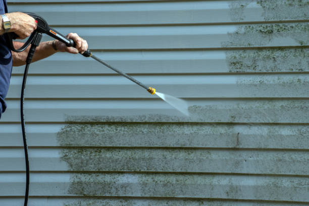 Professional Pressure Washing in Hazel Park, MI