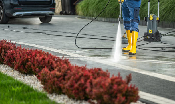 Best Concrete Pressure Washing  in Hazel Park, MI